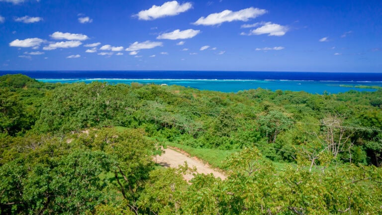 Lush green tropical forest leading to the vibrant turquoise waters and white sandy beaches of Roatan, Honduras with a bright blue sky and scattered white clouds overhead.