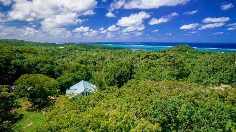 A lush green forest on Roatan, Honduras, overlooking the Caribbean Sea with distant waves and a partly cloudy sky.