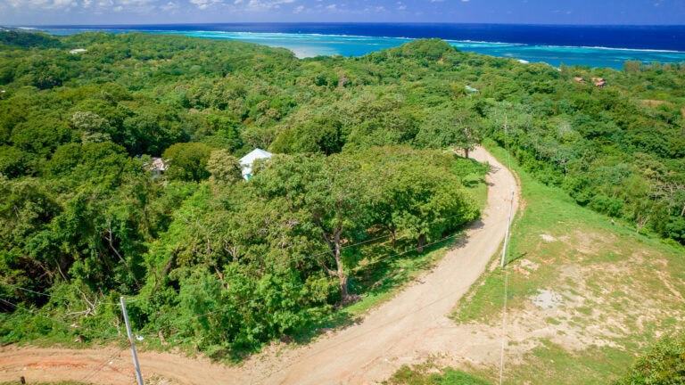 Aerial view of lush green tropical forest on Roatan, Honduras, with a dirt road winding through the trees and the Caribbean Sea visible in the background.