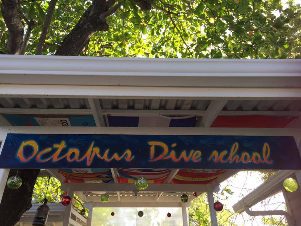 A sign reading "Octopus Dive School" is displayed above an outdoor area with colorful hanging decorations, under a leafy canopy in Roatan, Honduras.