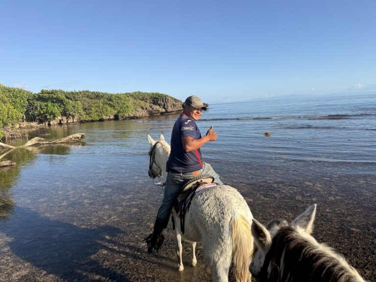 A person riding a white horse along the shallow waters of a sandy beach in Roatan, Honduras, with lush green vegetation on the shoreline and a clear blue sky above.