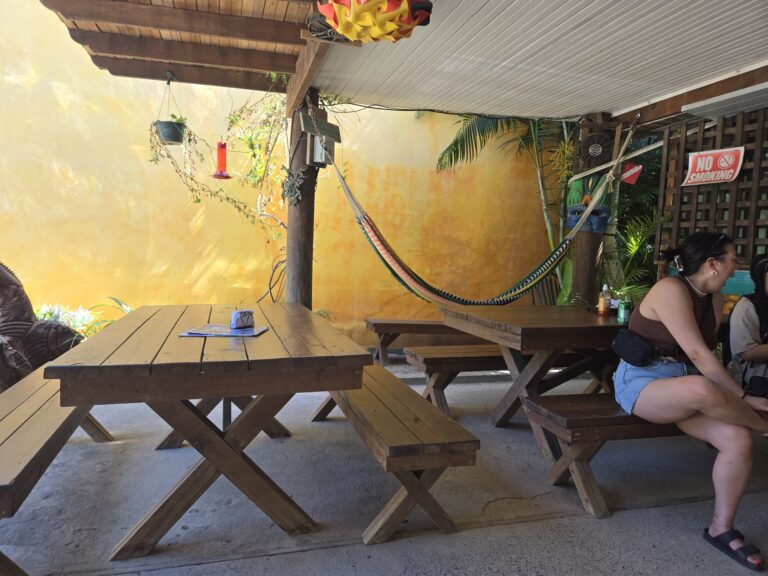 A cozy outdoor dining area in Roatan, Honduras, featuring wooden picnic tables under a wooden pergola with hanging plants, a hammock, tropical plants, and a colorful lantern-shaped light fixture.
