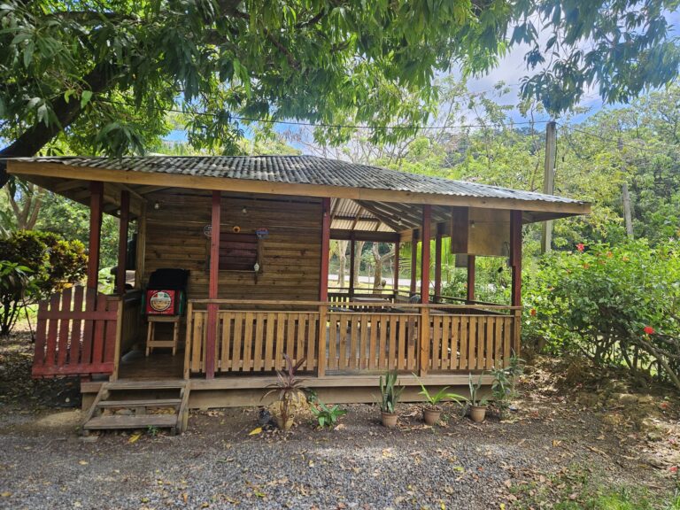 A small wooden veranda with a corrugated metal roof is situated amidst lush green trees and tropical plants on Roatan, Honduras. The veranda is elevated on wooden supports with steps leading up to it, and it features a railing and some potted plants in front.