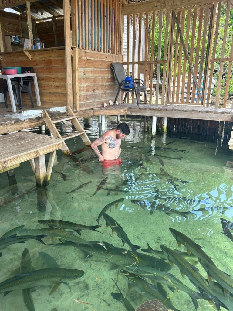 A man with tattoos stands waist-deep in clear water surrounded by numerous fish near a wooden structure on Roatan, Honduras.
