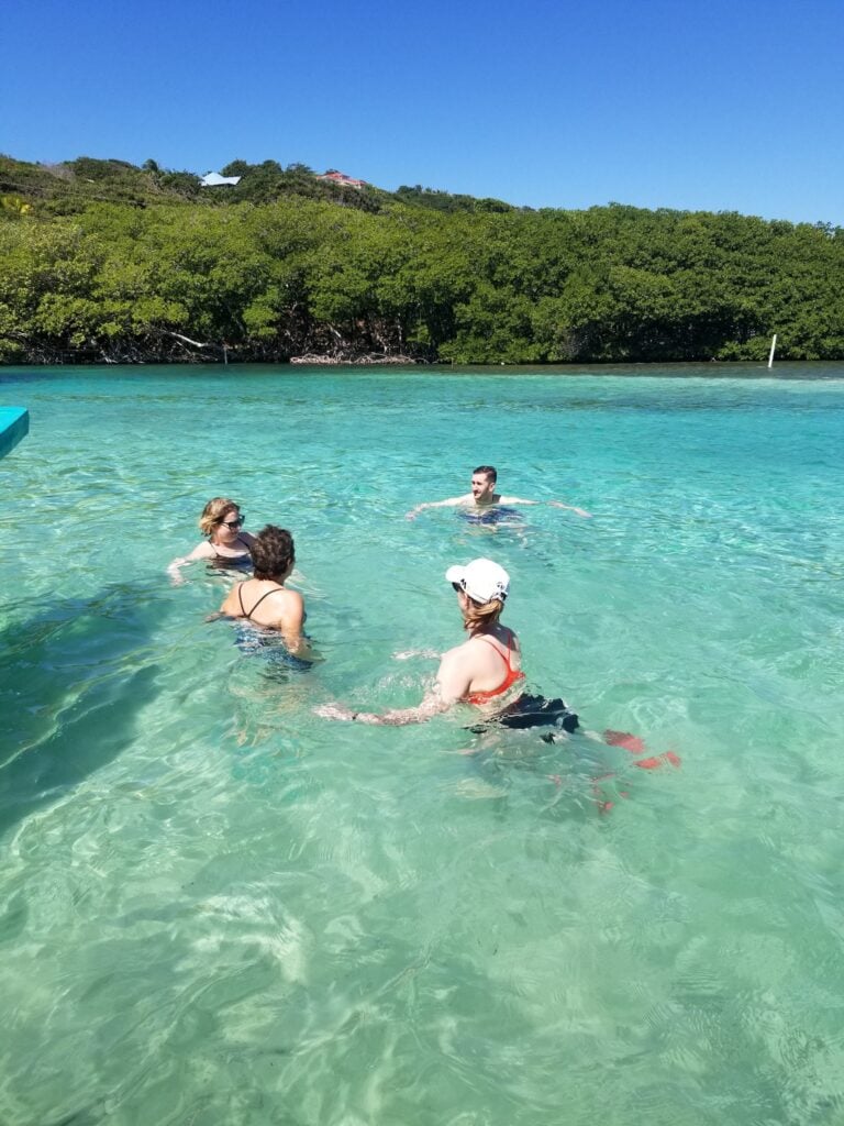 People swimming and enjoying the clear turquoise waters of Roatan, Honduras, with lush green mangroves and a bright blue sky in the background.