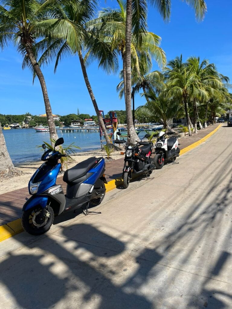 A row of colorful scooters parked along a sidewalk with tall palm trees and calm waters of Roatan in the background, under a clear blue sky in Honduras.