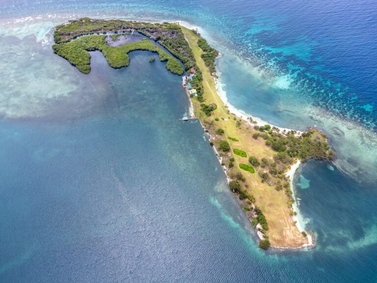 Aerial view of Roatan's scenic coastline with lush greenery and clear blue waters.