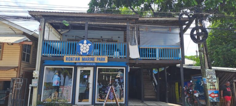 The two-story Roatan Marine Park office building on Roatan, Bay Islands, Honduras features a blue and white turtle logo, with a glass entrance door and an upper balcony overlooking the street.