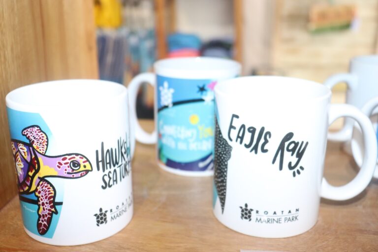 Close-up of white ceramic mugs with colorful illustrations and text promoting Roatan Marine Park in Roatan, Honduras, placed on a wooden surface.