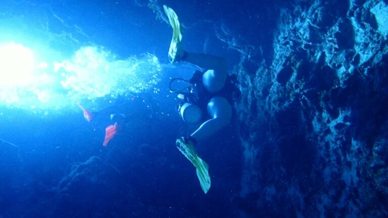 A scuba diver exploring an underwater cave rich with coral formations and colorful fish near Roatan, Honduras.