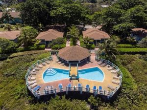 Seagrape - Image 01 (January 21, 2026)