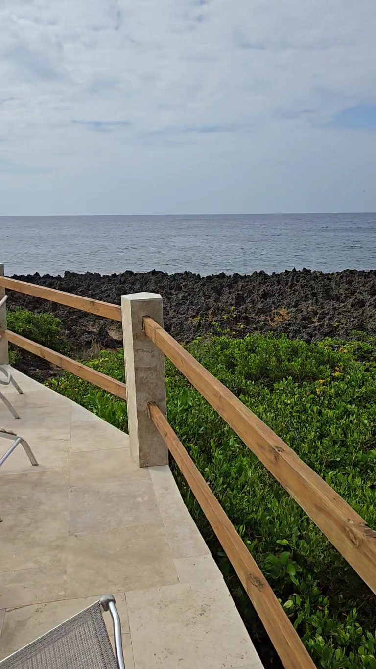 Seagrape - Image 02 (January 21, 2026)