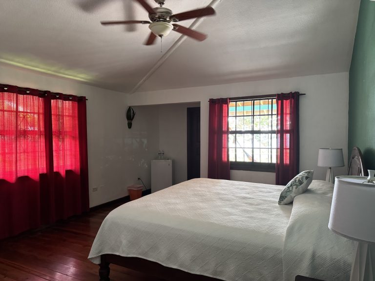 Seagrape - Image 03 (January 21, 2026)