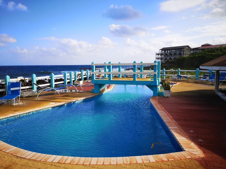 Seagrape - Image 04 (January 21, 2026)