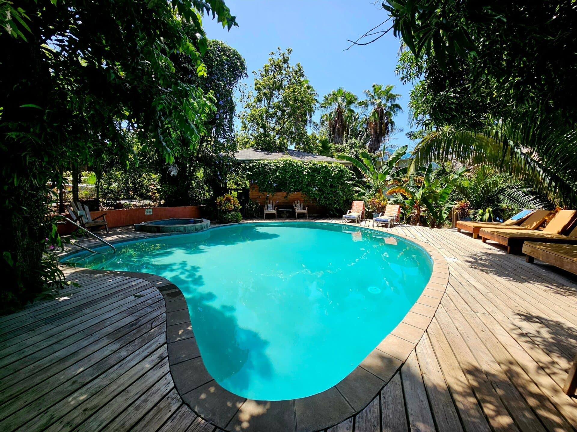Turquoise swimming pool surrounded by lush tropical gardens and wooden decking in Roatan, Honduras.
