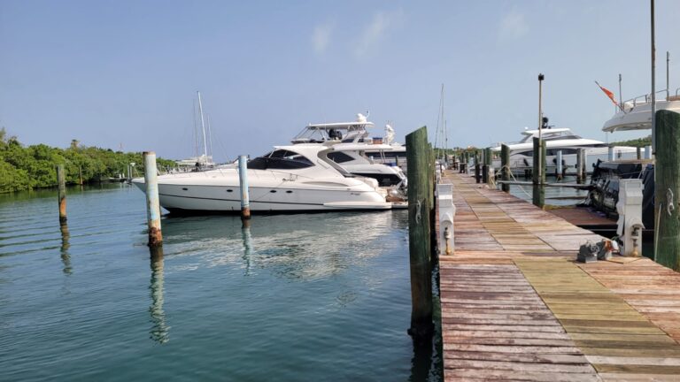 A wooden dock extending into Roatan's harbor in Honduras is lined with several luxury boats and yachts anchored in calm water, with lush green mangroves visible in the background under a partly cloudy sky.