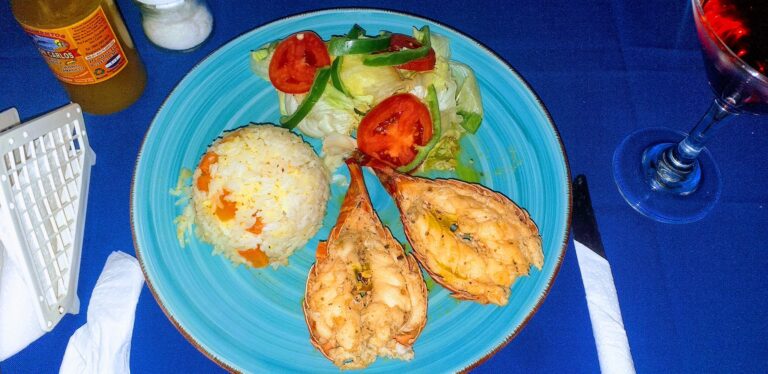 A colorful plate of traditional Honduran food in Roatan featuring grilled seafood, rice, and fresh salad on a blue table setting with condiments and a glass of red wine nearby.