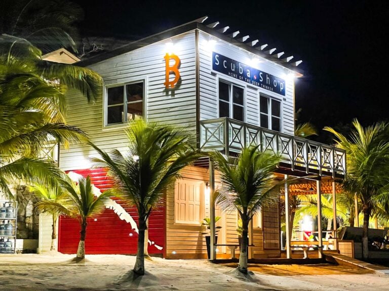 Night view of the exterior of the Scuba Shop building in Roatan, Honduras, illuminated with bright lights and surrounded by palm trees.