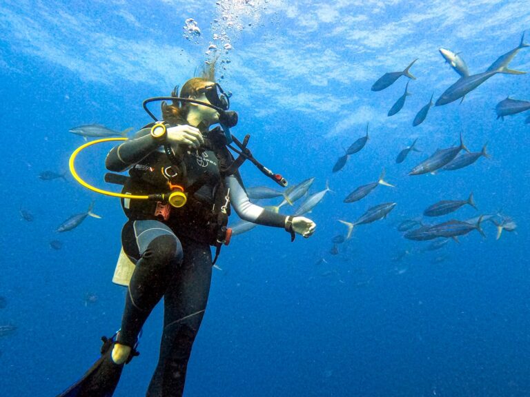 A scuba diver exploring underwater with schools of fish near Roatan, Honduras, showcasing vibrant marine life in the Caribbean Sea.