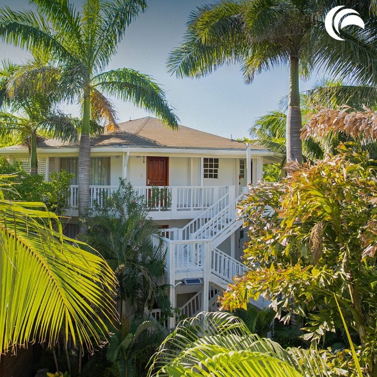 A white house with a front porch and stairs is surrounded by lush green and yellow tropical plants and palm trees on Roatan, Honduras.