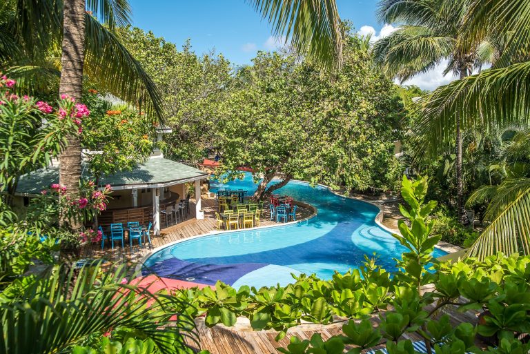 A lush tropical garden with tall palm trees surrounds a swimming pool and a seating area with colorful chairs in Roatan, Honduras.