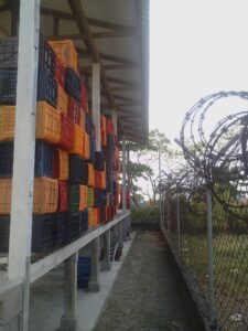 Stacks of colorful plastic crates are arranged on a wooden platform alongside a chain-link fence, with barbed wire atop the fence and trees visible in the background in Roatan, Honduras.