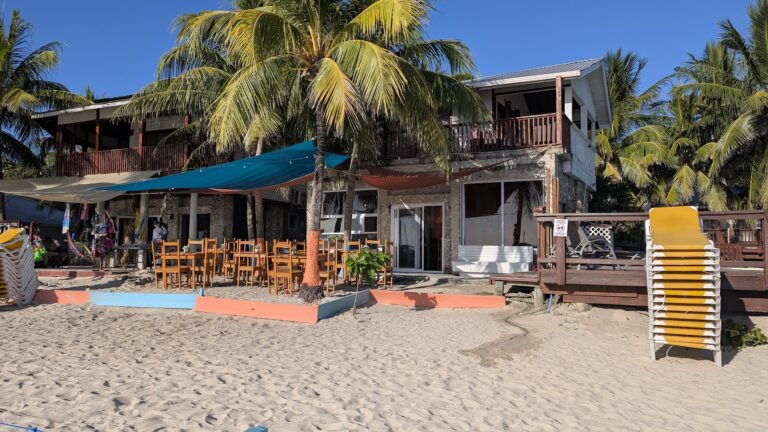 Beachfront restaurant in Roatan with outdoor seating under palm trees and colorful shade sails, overlooking sandy shores and tropical vegetation in Honduras.