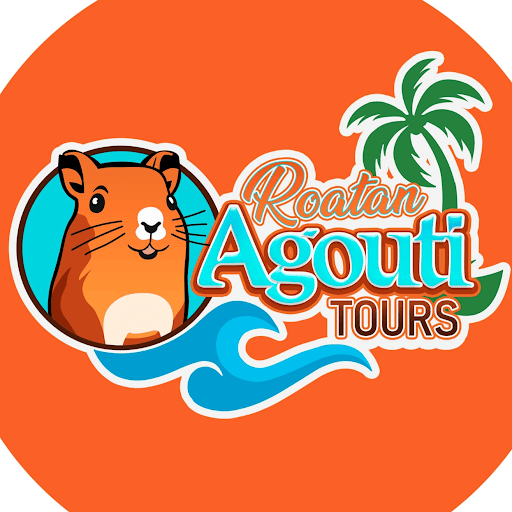 Colorful logo for Roatan Agouti Tours featuring a smiling agouti, a palm tree, and ocean waves representing adventure and nature in Roatan, Honduras.