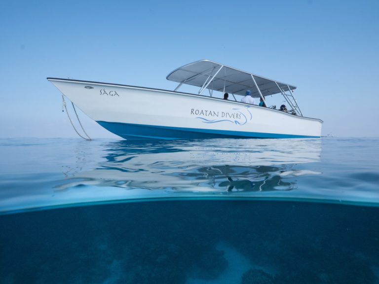 A white boat with the words "Roatan Divers" and "Saga" is anchored in calm, clear waters under a bright blue sky in Roatan, Honduras.