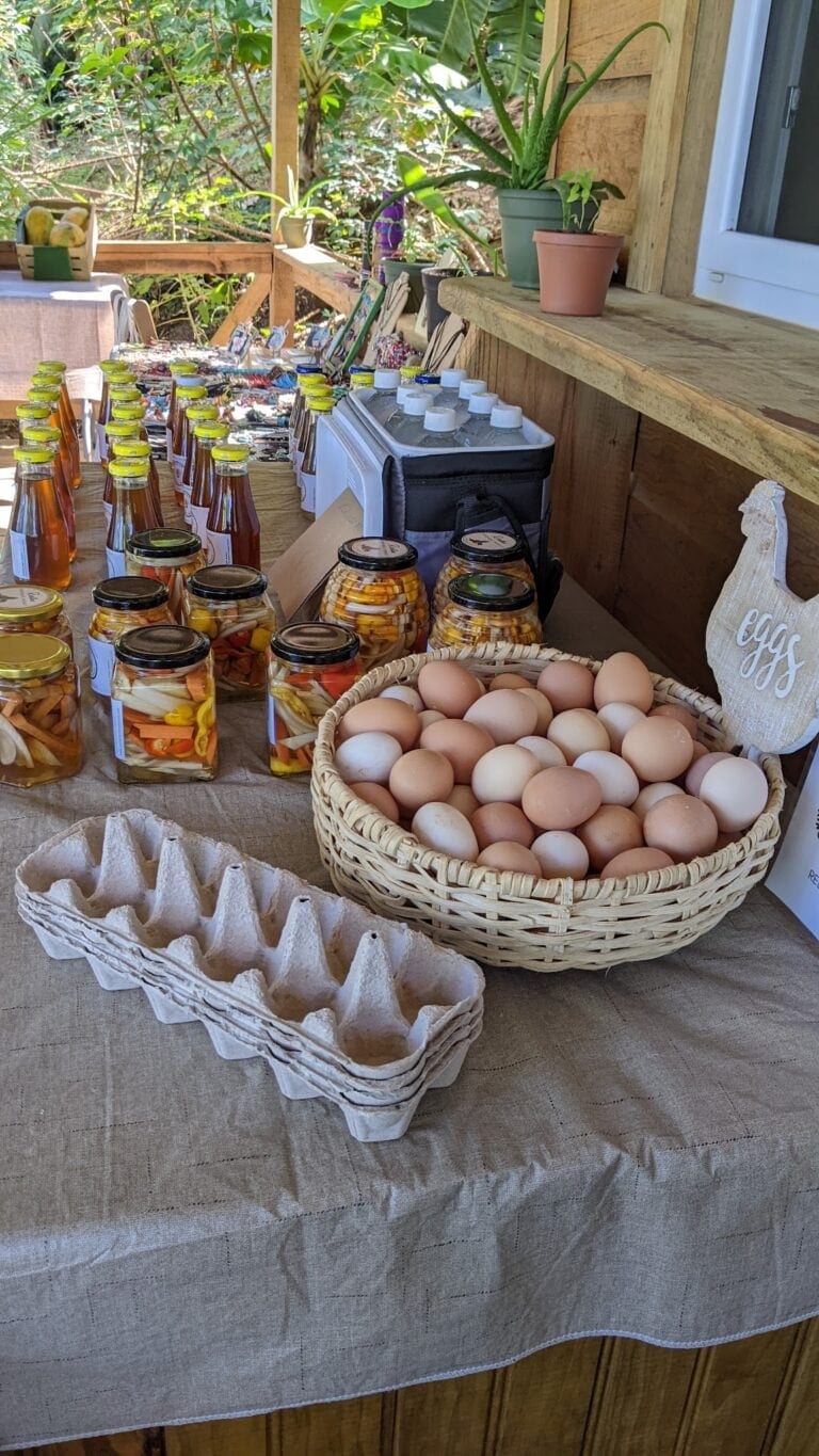 A table in Roatan, Honduras, displays fresh eggs, jarred preserved vegetables, bottled beverages, and handwritten signs, with a backdrop of green tropical plants and wooden fencing.