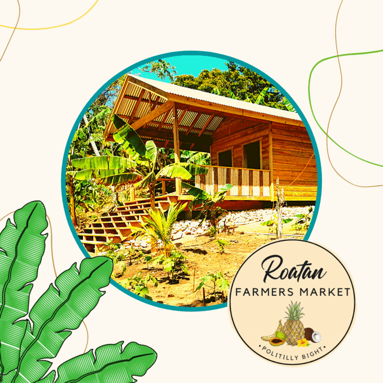 A wooden house with a metal roof is situated among lush green tropical plants and banana trees on Roatan, Honduras, serving as a local farmers market while the logo of Roatan Farmers Market with tropical fruit illustrations is displayed at the bottom right.