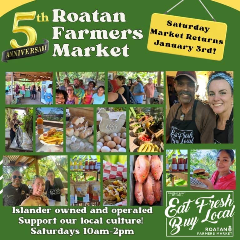 The image shows a colorful flyer for the 5th Roatan Farmers Market in Roatan, Honduras, featuring photos of vendors, fresh produce, eggs, seafood, and people enjoying the market, with details about its reopening on January 3rd and the weekly Saturday hours from 10 am to 2 pm.