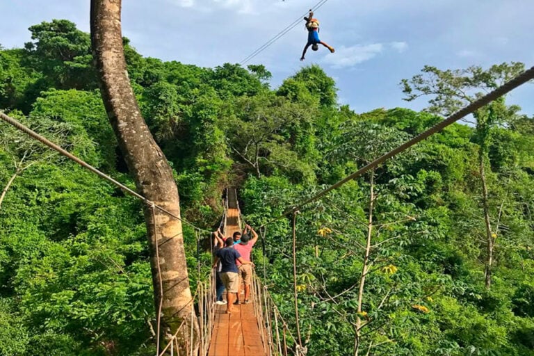 Person ziplining over lush rainforest canopy.