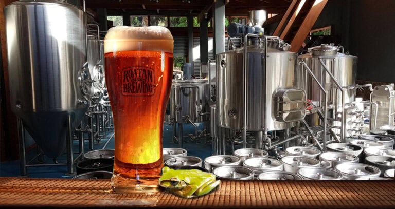 A tall glass of amber-colored beer with a foamy head featuring the "Roatan Island Brewing Co." logo is placed on a wooden surface in front of stainless steel brewing equipment and many canned beers, with a small green frog resting nearby, in a brewery setting on Roatan, Honduras.