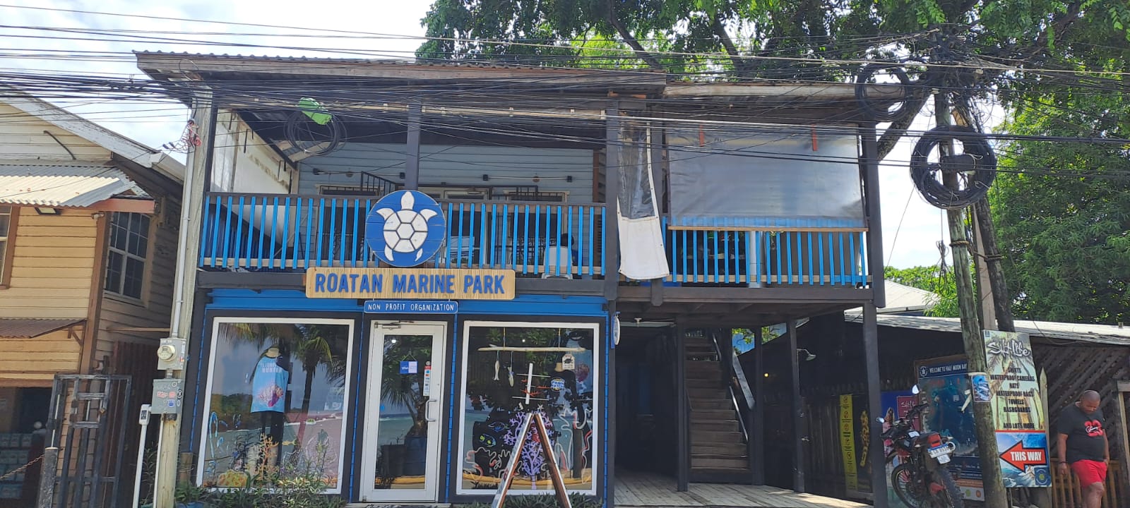 The two-story Roatan Marine Park office building on Roatan, Bay Islands, Honduras features a blue and white turtle logo, with a glass entrance door and an upper balcony overlooking the street.