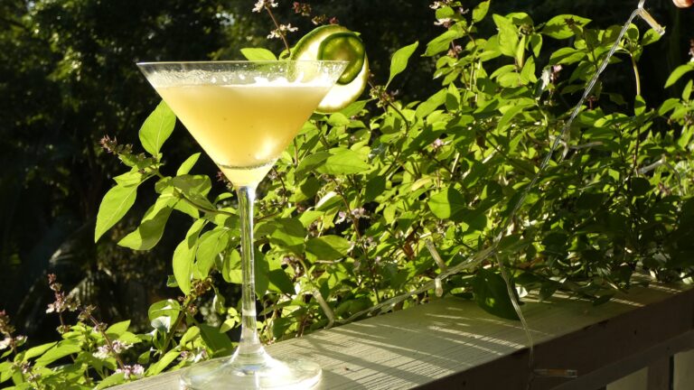 A light yellow cocktail with a cucumber garnish sits in a martini glass on a wooden surface surrounded by green foliage in Roatan, Honduras.