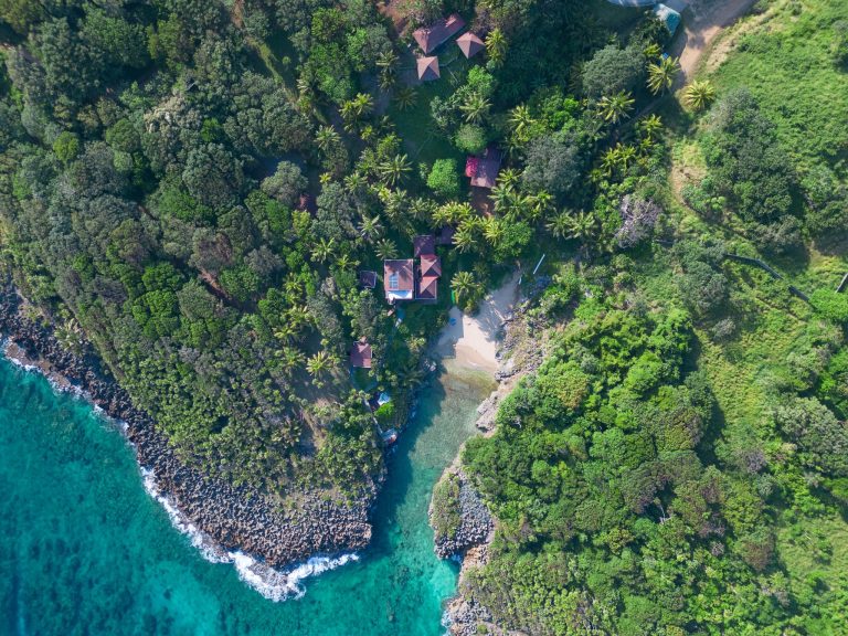 An aerial view of a lush green coastline in Roatan, Honduras, featuring dense tropical trees, several buildings with red roofs, and a rocky shoreline along clear turquoise waters.