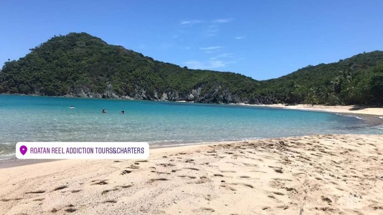 A scenic beach scene on Roatan in the Bay Islands of Honduras features clear turquoise waters, a sandy shoreline, lush green hills in the background, and a few people swimming in the ocean, with a business label for Roatan Reel Addiction Tours & Charters.