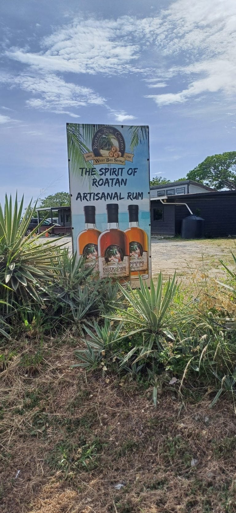 A vertical sign advertising handcrafted artisanal rum from Roatan, Honduras, is displayed outdoors among desert plants with a blue sky, scattered clouds, and buildings in the background.