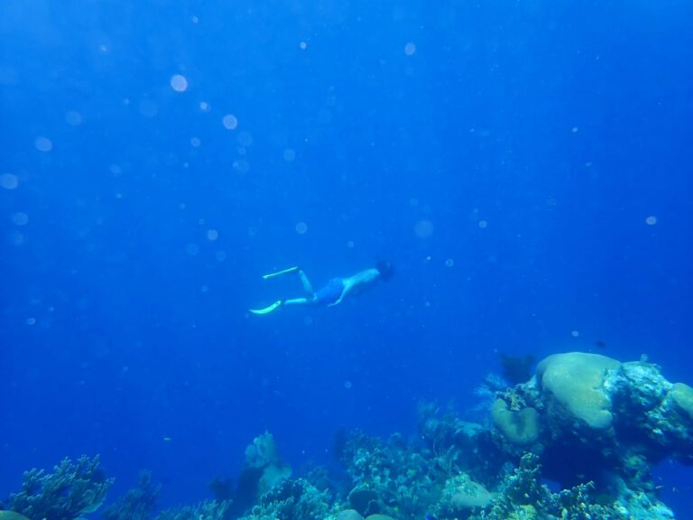 A person snorkels underwater over a vibrant coral reef in Roatan, Honduras, with clear blue water and colorful marine life visible around the coral formations.