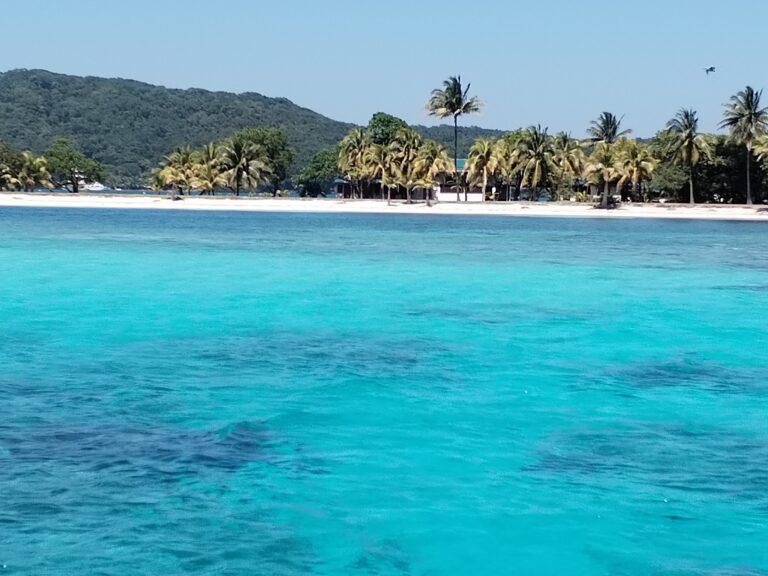 A tranquil view of a sandy beach with turquoise waters, palm trees, and lush green hills in the background in Roatan, Honduras.