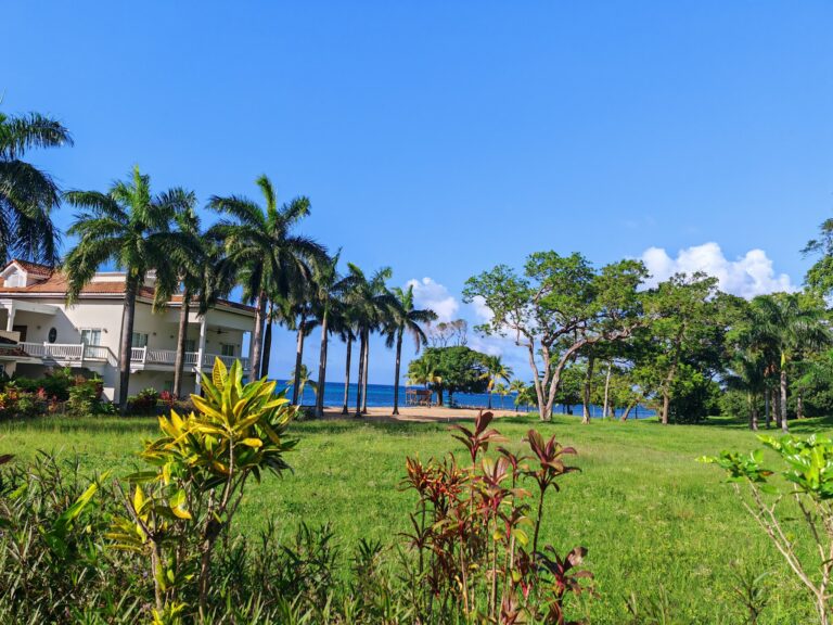 Lush green lawn with colorful tropical plants, tall palm trees, a white building with a red-tiled roof, and the ocean view in the background on Roatan, Honduras.