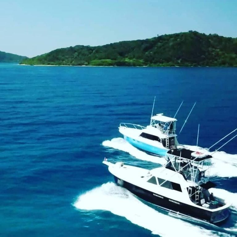 Two white and black motorboats sail across the clear blue waters near a lush green island in Roatan, Honduras.