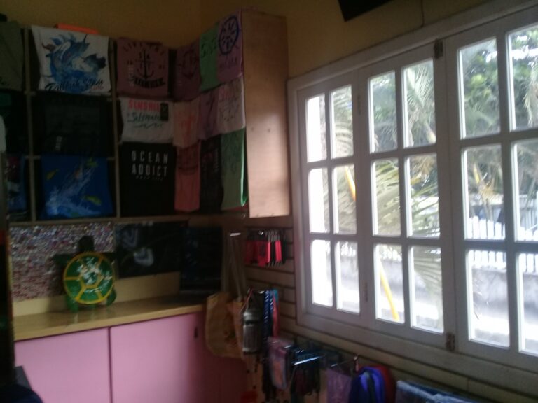 A room in Roatan, Honduras, with a window overlooking tropical greenery, decorated with colorful banners, a pink cabinet, and various toys and posters on the walls.