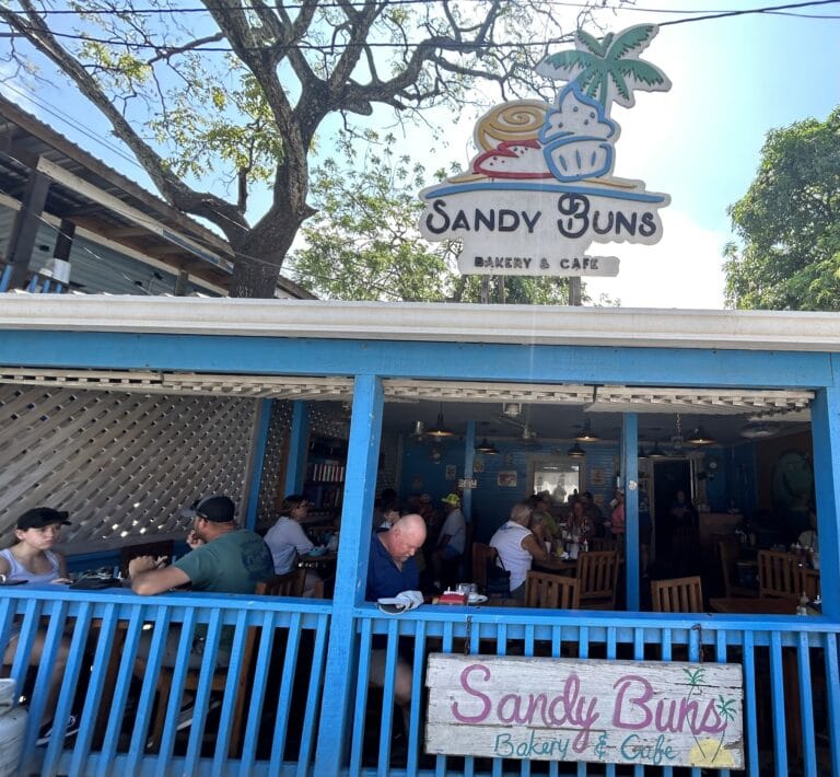 A lively outdoor seating area at Sandy Suns Bakery & Cafe in Roatan, Honduras, with customers enjoying their meals under a large tree and a colorful sign featuring a palm tree, sand, and a cupcake.