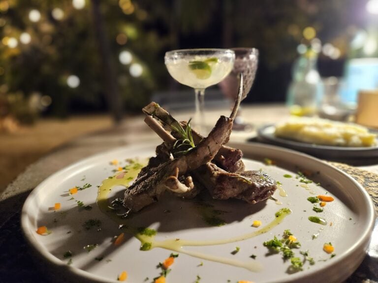 A plated dish of grilled meat garnished with herbs and colorful vegetable drizzles is shown with a cocktail featuring lime wedges in the background, set in a dimly lit restaurant on Roatan, Honduras.