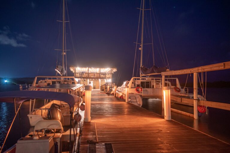 Nighttime view of a marina in Roatan, Honduras, featuring boats docked along a wooden pier illuminated by warm string lights with a thatched-roof tiki bar and clear night sky in the background.
