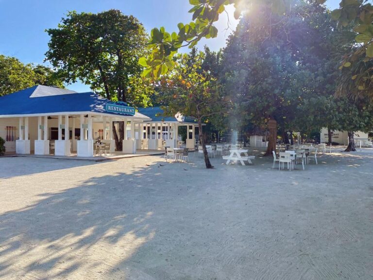 A beachfront restaurant in Roatan, Honduras, with white outdoor seating, surrounded by lush trees and sand under bright sunlight.