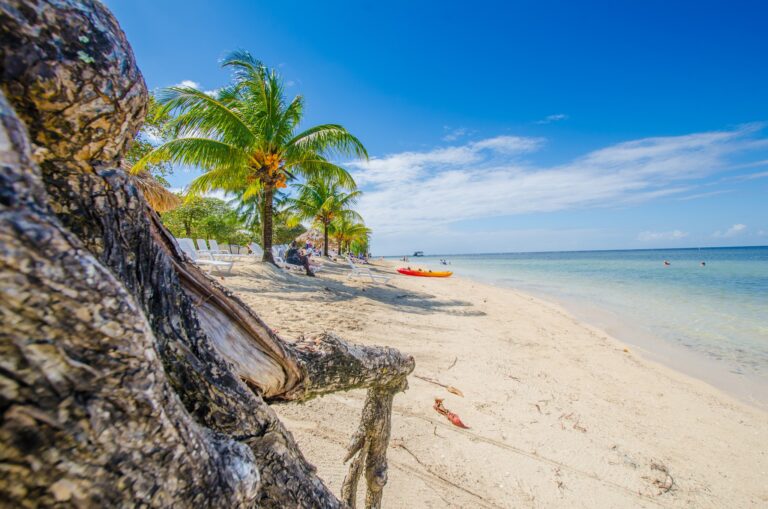 A sandy beach in Roatan, Honduras, features palm trees, lounge chairs, colorful kayaks, and clear ocean water under a bright blue sky.