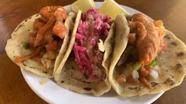 Three tacos with grilled meat, fresh chopped vegetables, and colorful toppings are served on a white plate in this image from Roatan, Honduras.